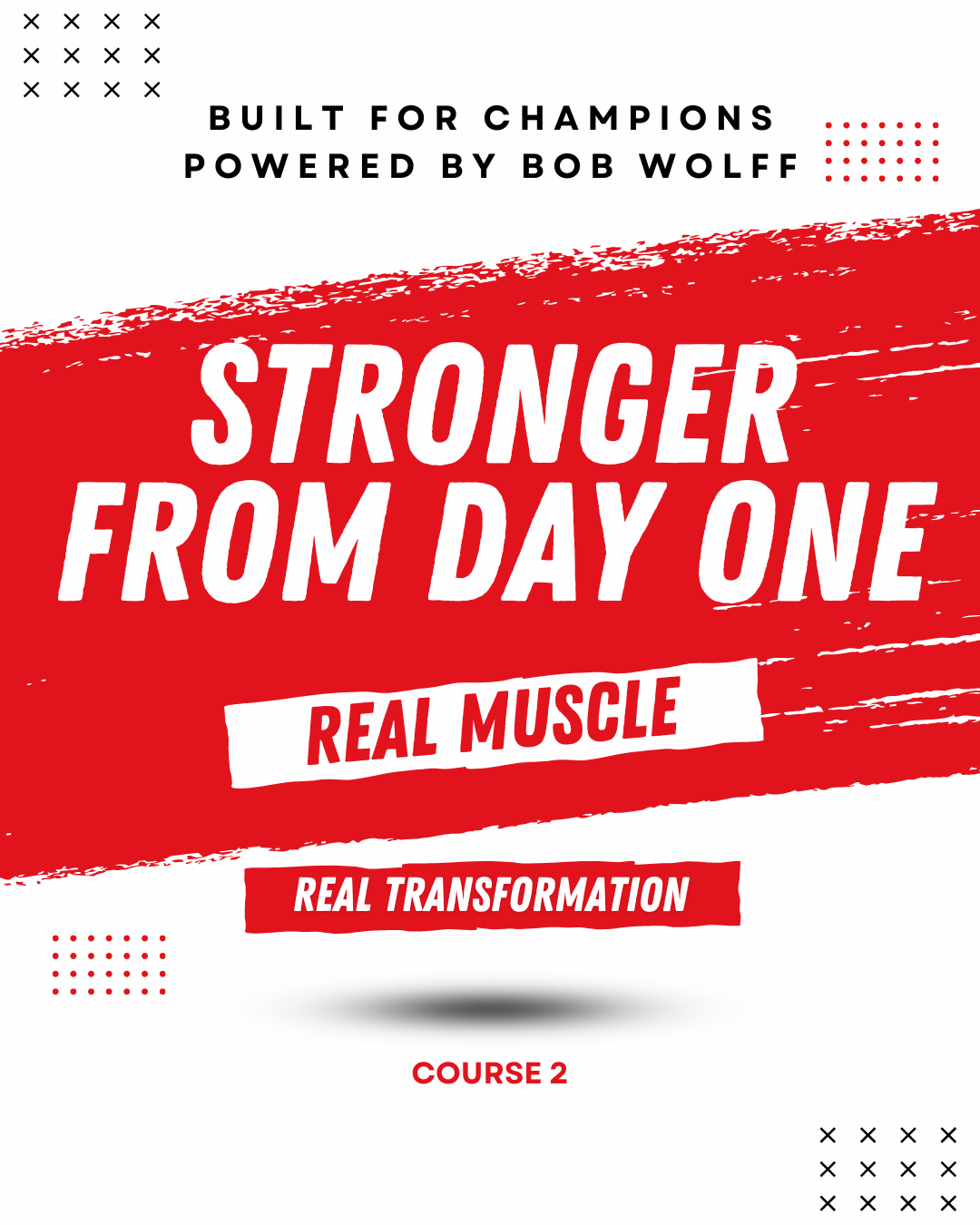 The Complete Training Bible Bundle