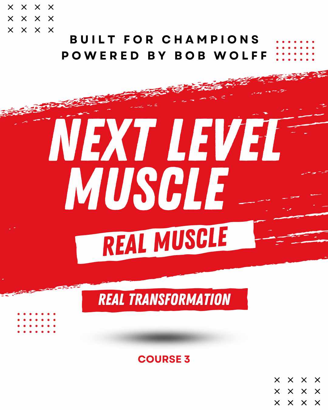 The Complete Training Bible Bundle