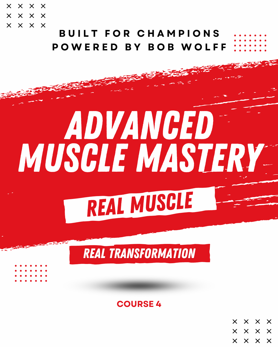 The Complete Training Bible Bundle